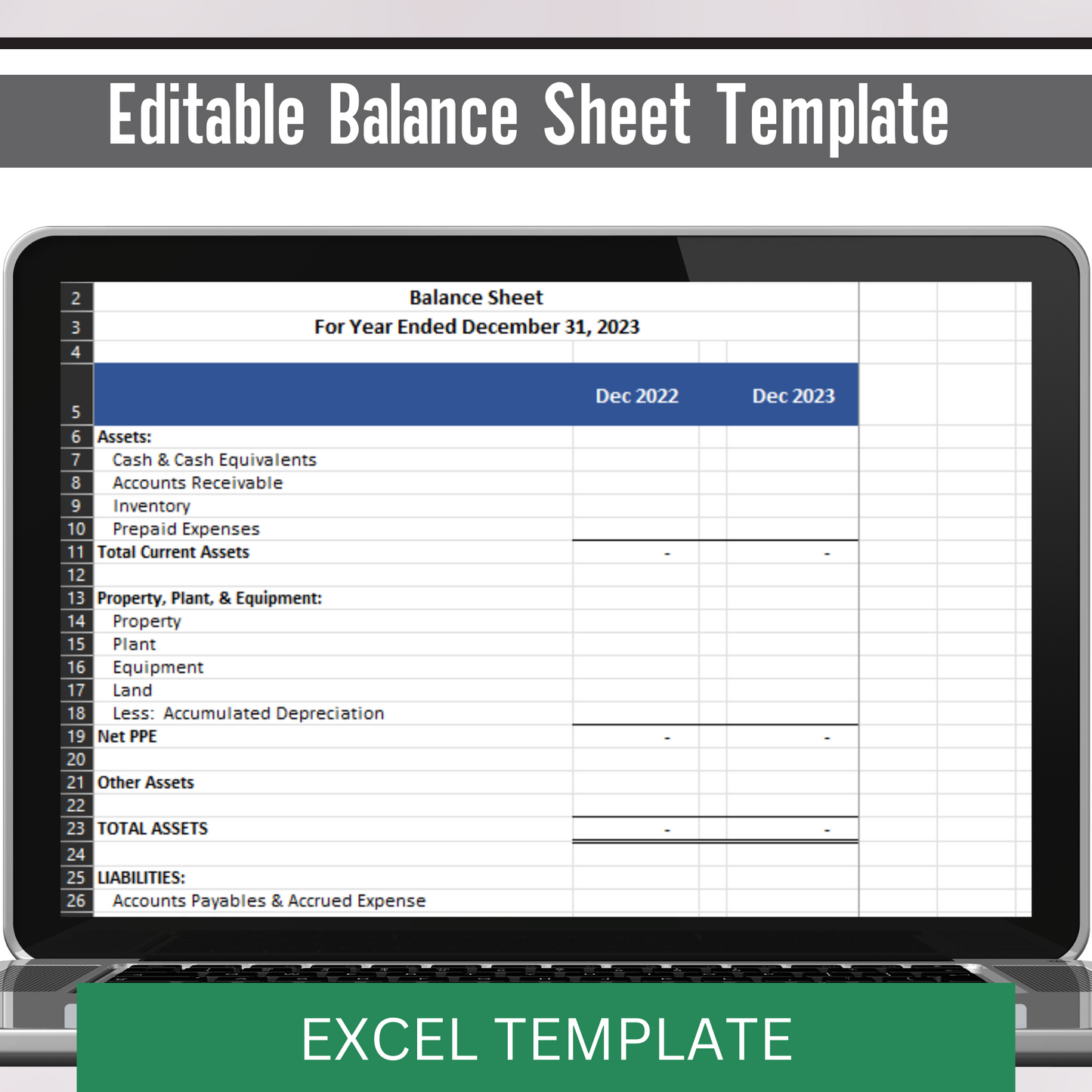 Balance Sheet with Prior Year (Excel)