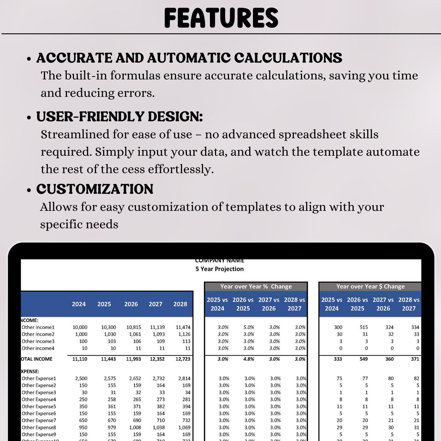 5 Year Projection P&L (Google Sheets)