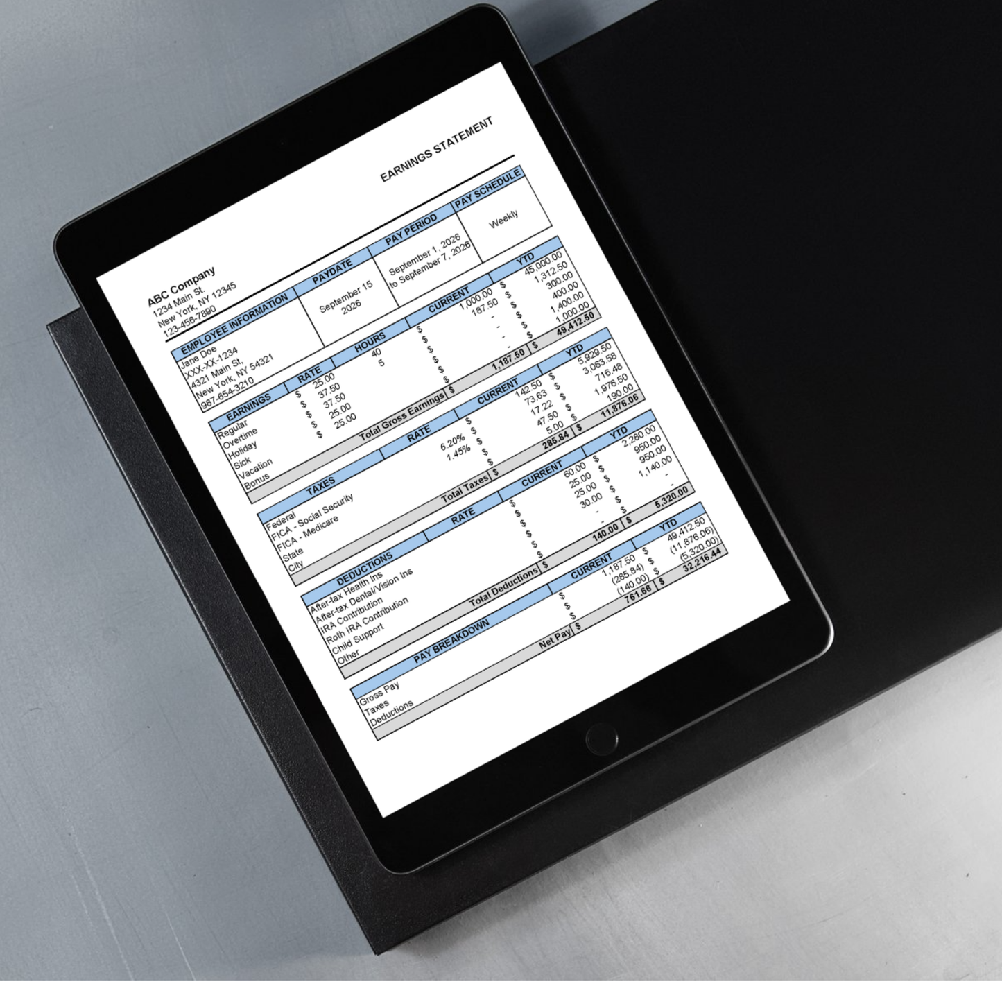 Editable Paycheck Stub Template