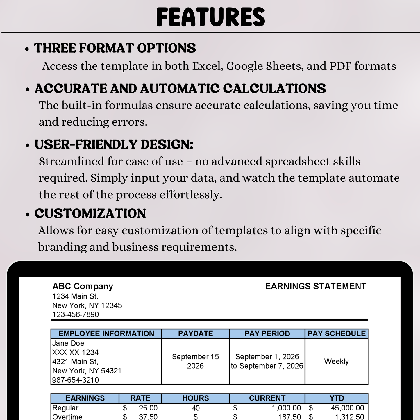 Editable Paycheck Stub Template