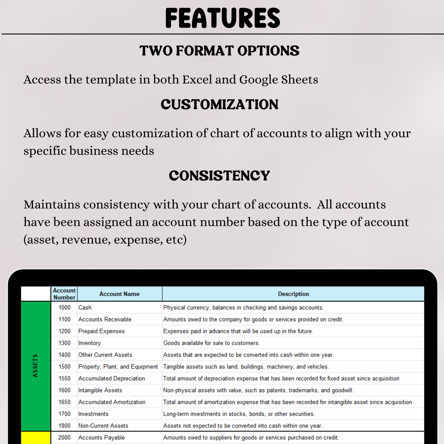 Chart of Accounts (Excel & Google Sheets)