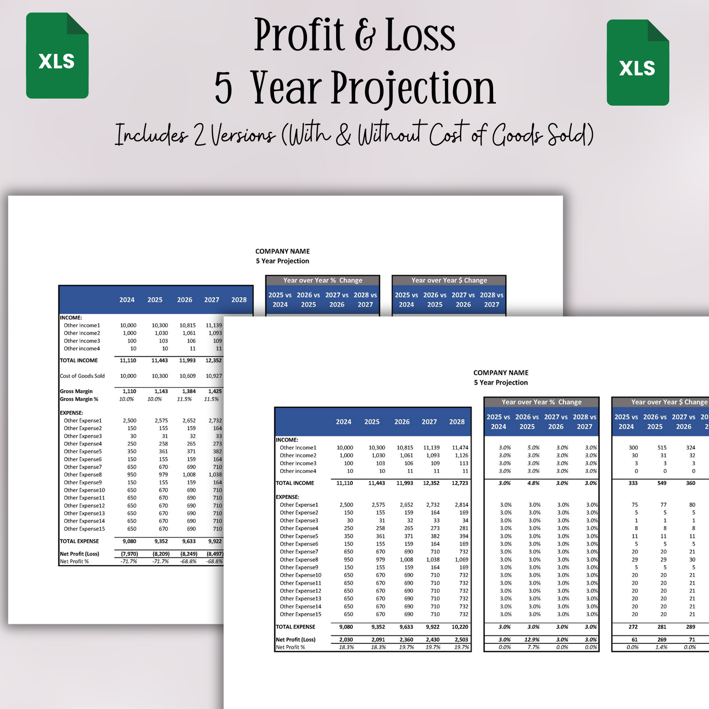 5 Year Projection P&L (Google Sheets)