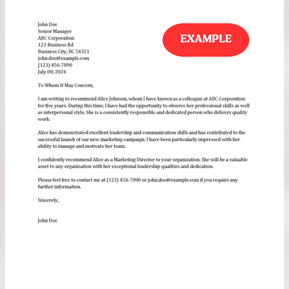 Professional Recommendation (Word and Google Docs)