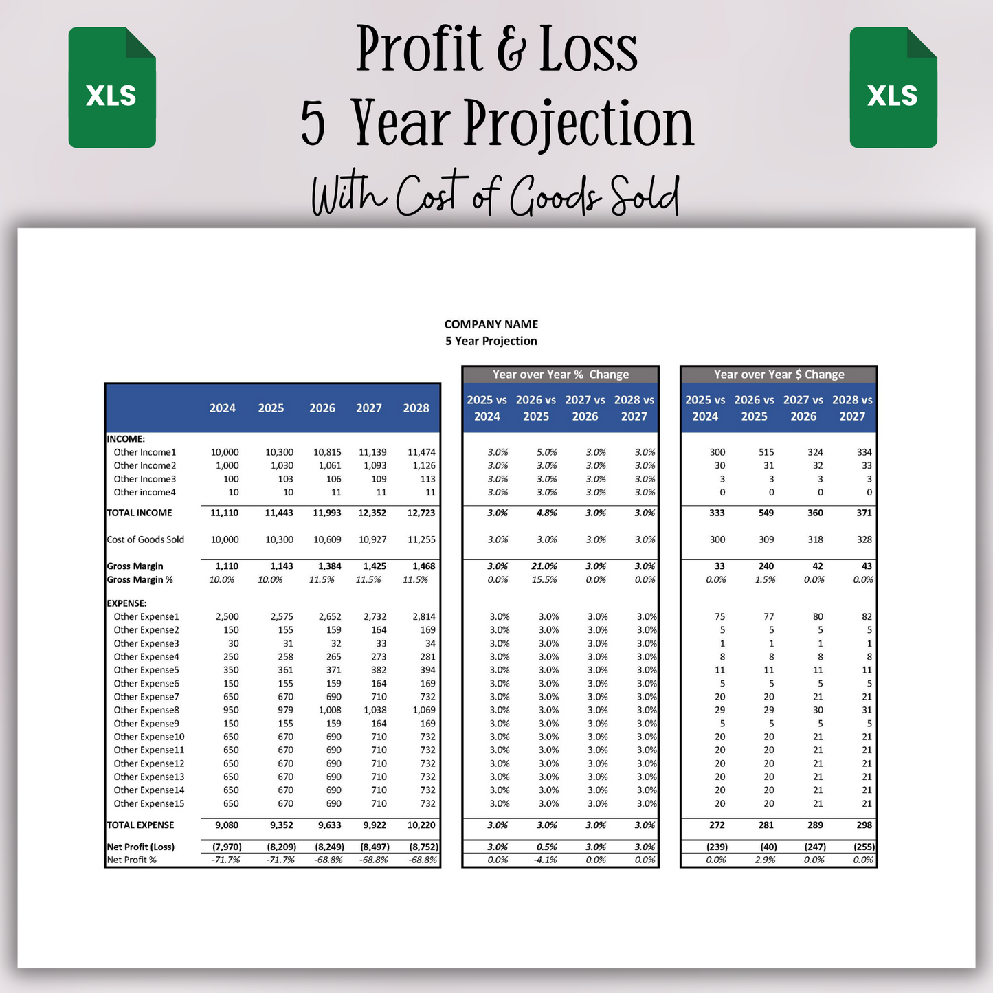 5 Year Projection P&L (Google Sheets)